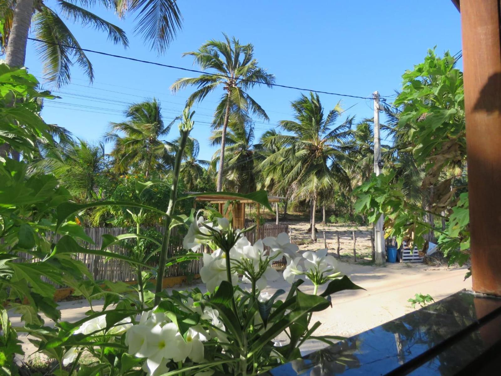 Villa Dos Coqueirais อิกาไรย์ ภายนอก รูปภาพ